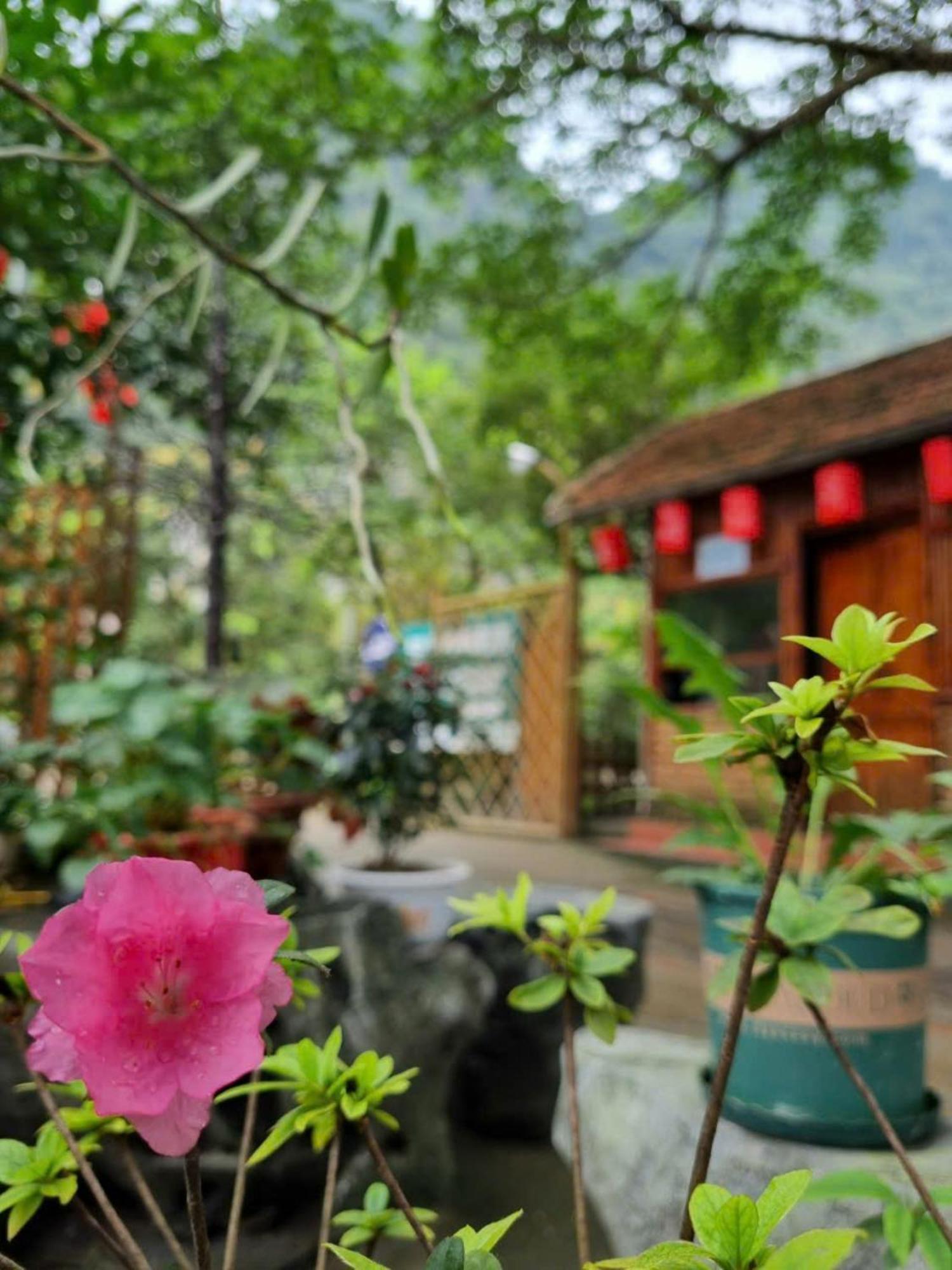 Hoalu Backpacker Homestay Ninh Binh Zewnętrze zdjęcie