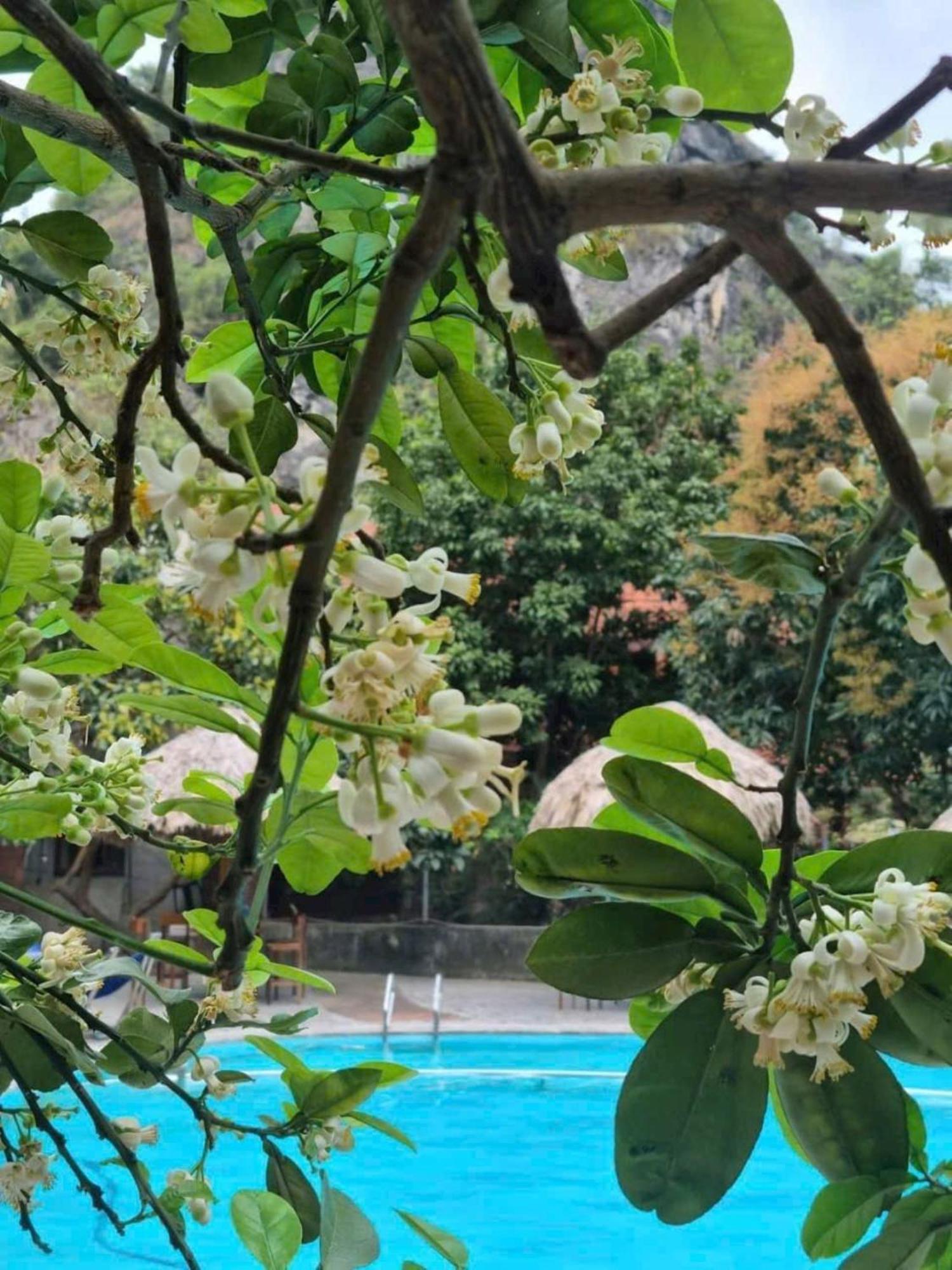 Hoalu Backpacker Homestay Ninh Binh Zewnętrze zdjęcie
